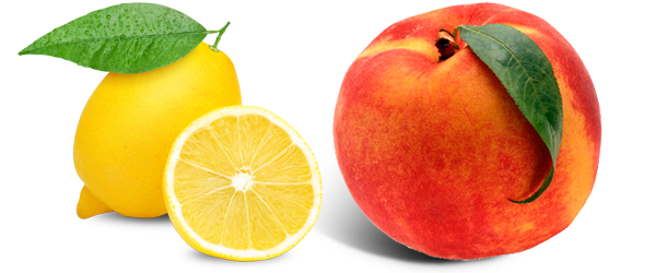 بلو بوت ( محسن ثمار )